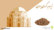 این بار اگر به کرمان سقر کردید، حتما به عنوان سوغات، زیره ببرید!