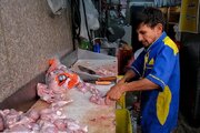 یک اتفاق مهم در بازار مرغ/ ۱۵ روز دیگر مرغ با این تغییر قیمتی مواجه می‌شود!