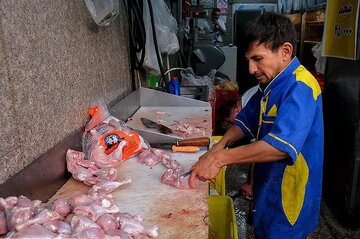 یک اتفاق مهم در بازار مرغ/ ۱۵ روز دیگر مرغ با این تغییر قیمتی مواجه میشود! یک اتفاق مهم در بازار مرغ/ ۱۵ روز دیگر مرغ با این تغییر قیمتی مواجه میشود!