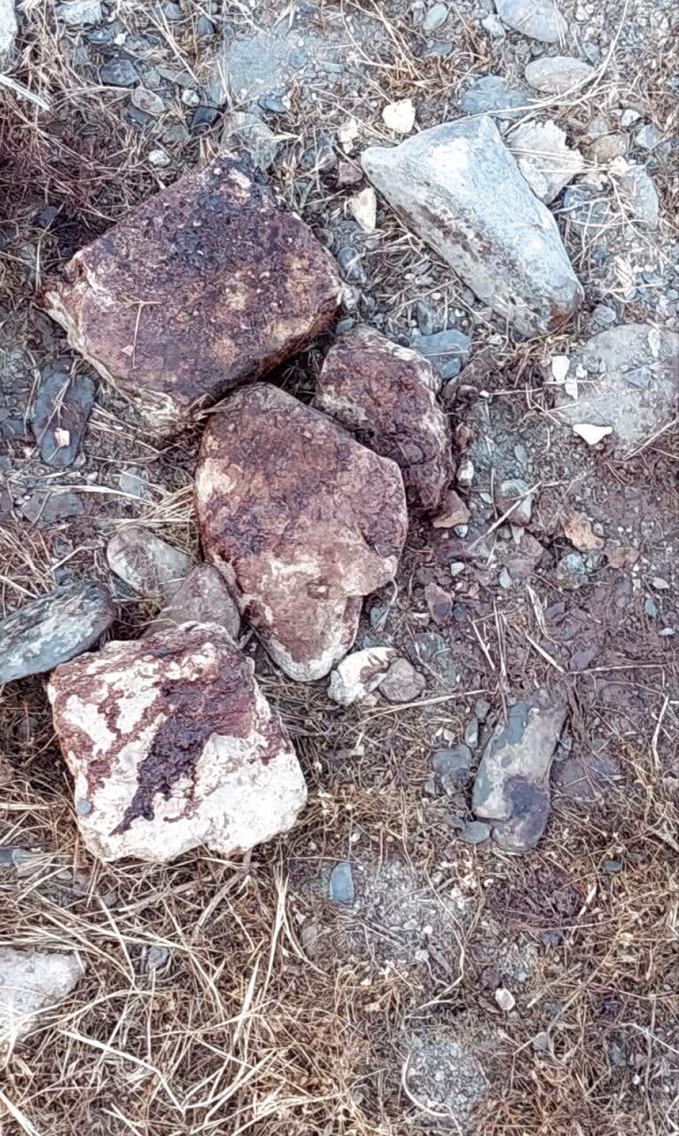 تصاویر و جزئیات تلخ از دستدرازی مرگبار به سید ایلیای ۱۱ساله/ «با این ترفند که میخواهم ساندویچ بخرم او را با خودم همراه کردم...»