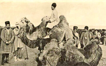 شتر قربانی؛ آیین حکومتی از صفویه تا پهلوی به روایت جهانگردان خارجی