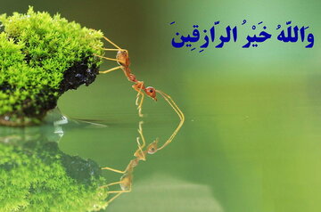 آیات محرمانه قرآن برای گشایش رزق و روزی آیات محرمانه قرآن برای گشایش رزق و روزی