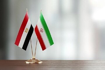 دیدارهای علی باقری با مقامات امنیتی مصر و برزیل دیدارهای علی باقری با مقامات امنیتی مصر و برزیل