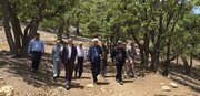 بررسی میدانی مطالبات عشایر در محور ترس–کوکلا با حضور نماینده خرم‌آباد و چگنی