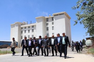 جهاد2.jpg