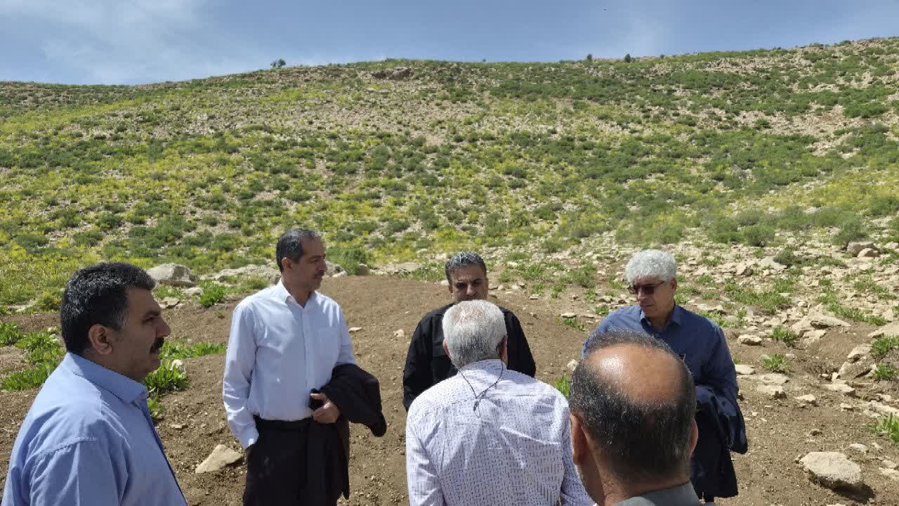 بررسی میدانی مطالبات عشایر در محور ترس–کوکلا با حضور نماینده خرمآباد و چگنی