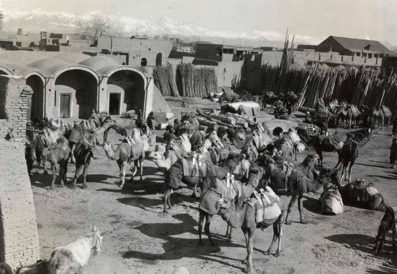 تصویر/ تهران در دهه ۲۰ هجری شمسی تصویر/ تهران در دهه ۲۰ هجری شمسی