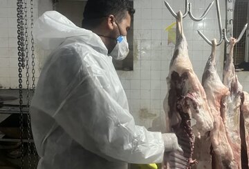 هشدار دامپزشکی رابر جهت رعایت پروتکلهای بهداشتی برای مقابله با تب کریمه کنگو هشدار دامپزشکی رابر جهت رعایت پروتکلهای بهداشتی برای مقابله با تب کریمه کنگو