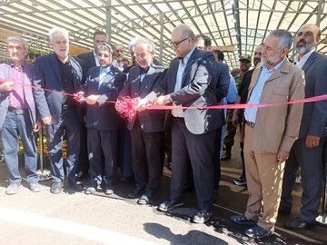 بازارگل2.jpg
