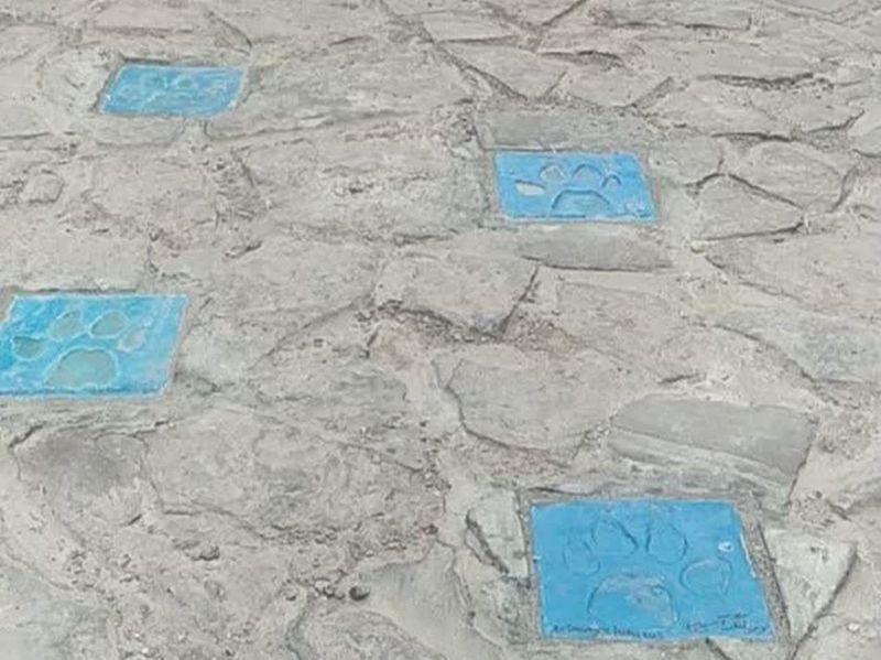 قلعه‌بالا، روستایی با هویت زنده و گام‌های استوار در مسیر جهانی‌شدن