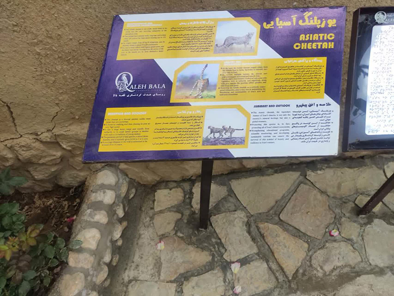 قلعه‌بالا، روستایی با هویت زنده و گام‌های استوار در مسیر جهانی‌شدن