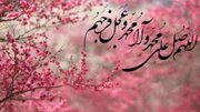 ۴ صلوات از امام صادق(ع) که انسان را از گناهان پاک و در امان می‌کند