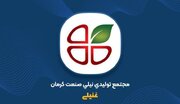 رشد ۲۶۶ درصدی درآمد «غنیلی» کرمان در سال ۱۴۰۴
