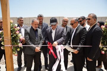 گلخانه-رز.jpg