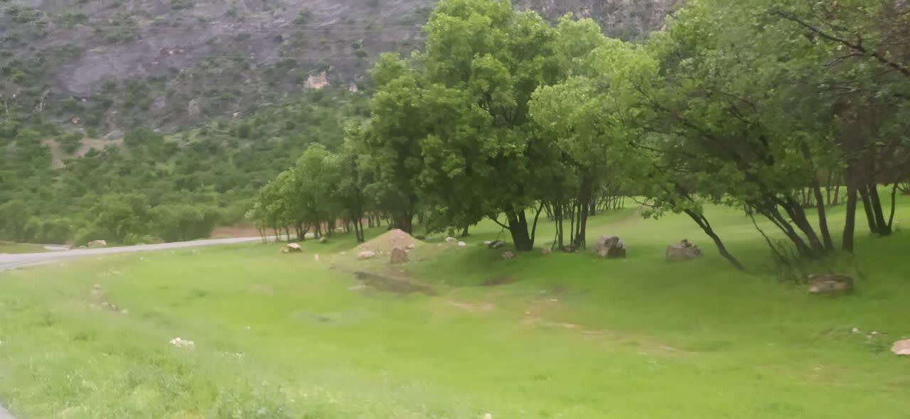 شهرداری سپیددشت پس از ۲۳ سال به دفن زباله در جنگل‌های بلوط پایان داد