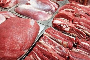 هرمزگان؛ تامینکننده اصلی نیاز ۵ استان کشور به گوشت شتر هرمزگان؛ تامینکننده اصلی نیاز ۵ استان کشور به گوشت شتر