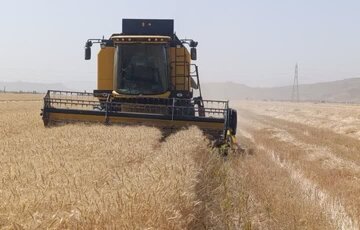 ذخایر کالاهای اساسی در وضعیت مطلوب قرار دارد