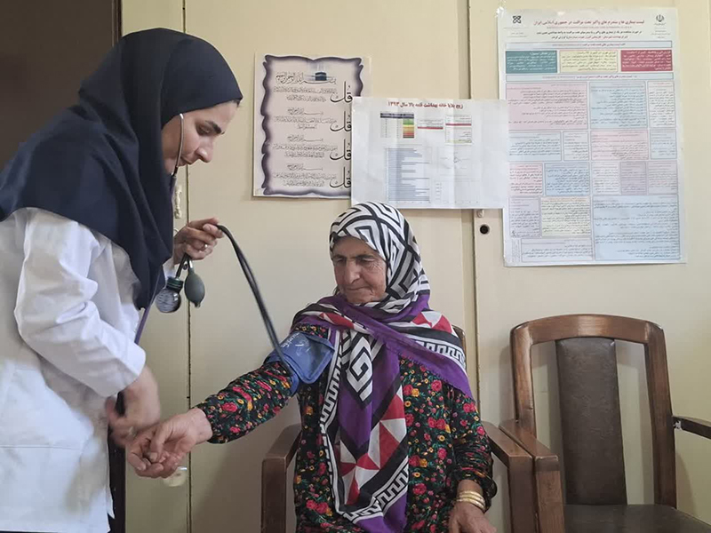 عروسک‌های یوزپلنگ و زاغ‌بور سفیران گردشگری روستای جهانی قلعه‌بالا شدند