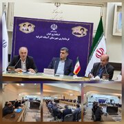 بادام‌زمینی آستانه‌اشرفیه هنوز برند مشخص و اثرگذاری در سطح ملی ندارد