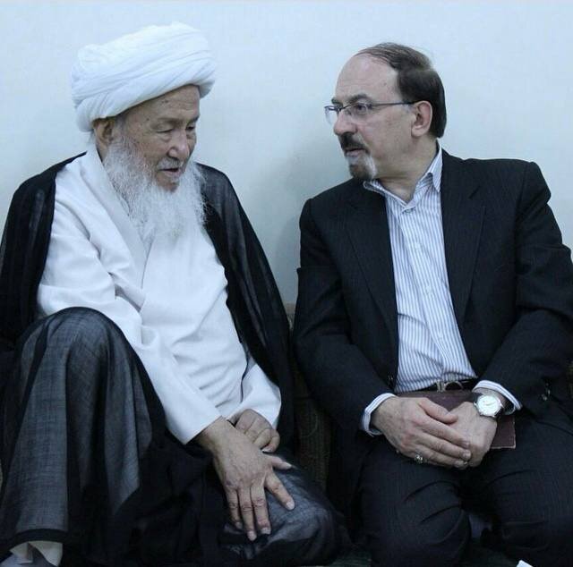 خورشیدی که از غزنی برخاست و در آسمان نجف درخشید