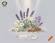 بهترین گیاه برای خواب عمیق چیست؟ معرفی مؤثرترین گیاه دارویی برای داشتن خوابی آرام