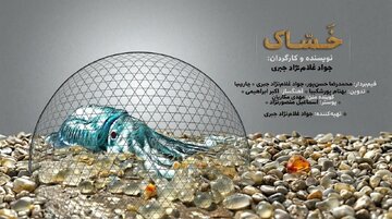 جایزه ویژه هیاتداوران شیلی به مستندساز بوشهری رسید جایزه ویژه هیاتداوران شیلی به مستندساز بوشهری رسید
