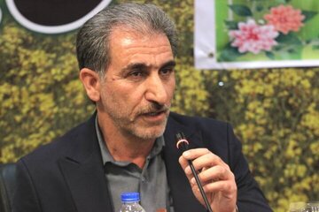 دلالی؛ عامل گرانی تخم مرغ در ایلام