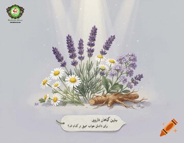 بهترین گیاه برای خواب عمیق چیست؟ معرفی مؤثرترین گیاه دارویی برای داشتن خوابی آرام