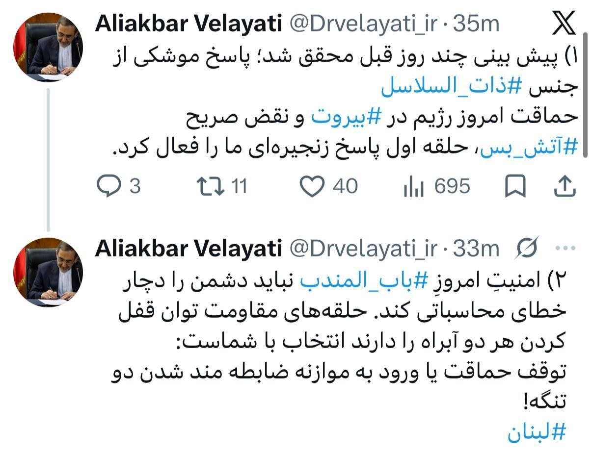ولایتی: امنیتِ امروزِ بابالمندب، نباید دشمن را دچار خطای محاسباتی کند/ مقاومت توان قفلکردن آبراه باب المندب را دارد