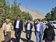 تاکید معاونت خدمات شهری شهرداری خرم‌آباد بر حفاظت از بلوط های شهری