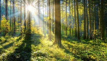 یادمان نرود زمین امانت خداست