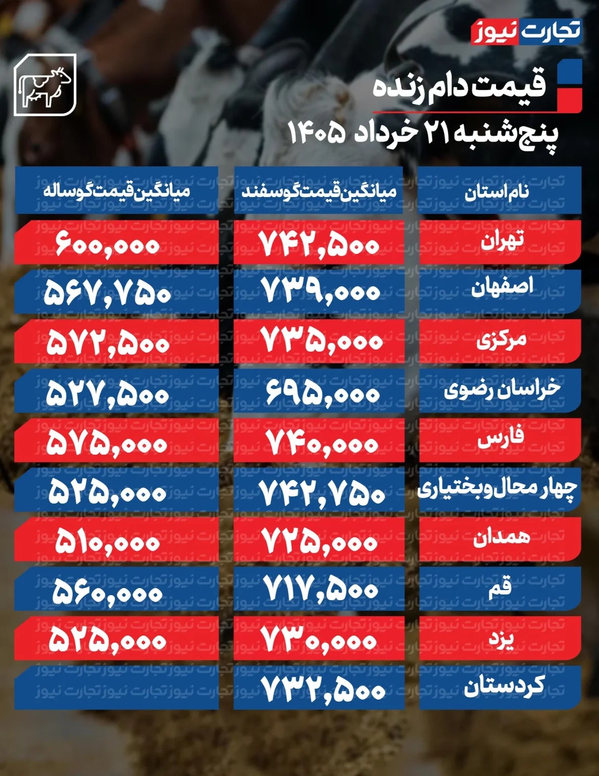 قیمت جدید دام زنده امروز ۲۱ خرداد ۱۴۰۵/ گوساله در تهران چند شد؟ + جدول