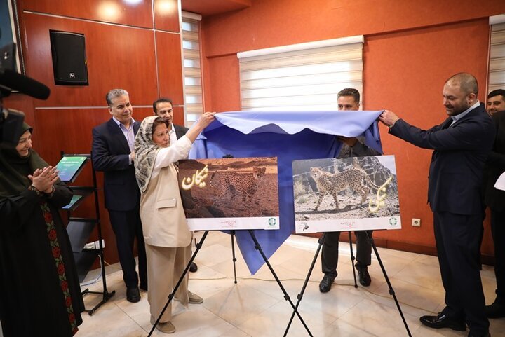 رونمایی از شناسنامه «نیکان» و «نیکی»