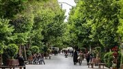 عکس/ منظره «چهارباغ اصفهان» از سمت سی‌وسه پل؛ ۱۳۵ سال قبل
