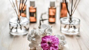 خانهای با عطر پناه؛ خانه شما چه بویی میدهد؟ خانهای با عطر پناه؛ خانه شما چه بویی میدهد؟