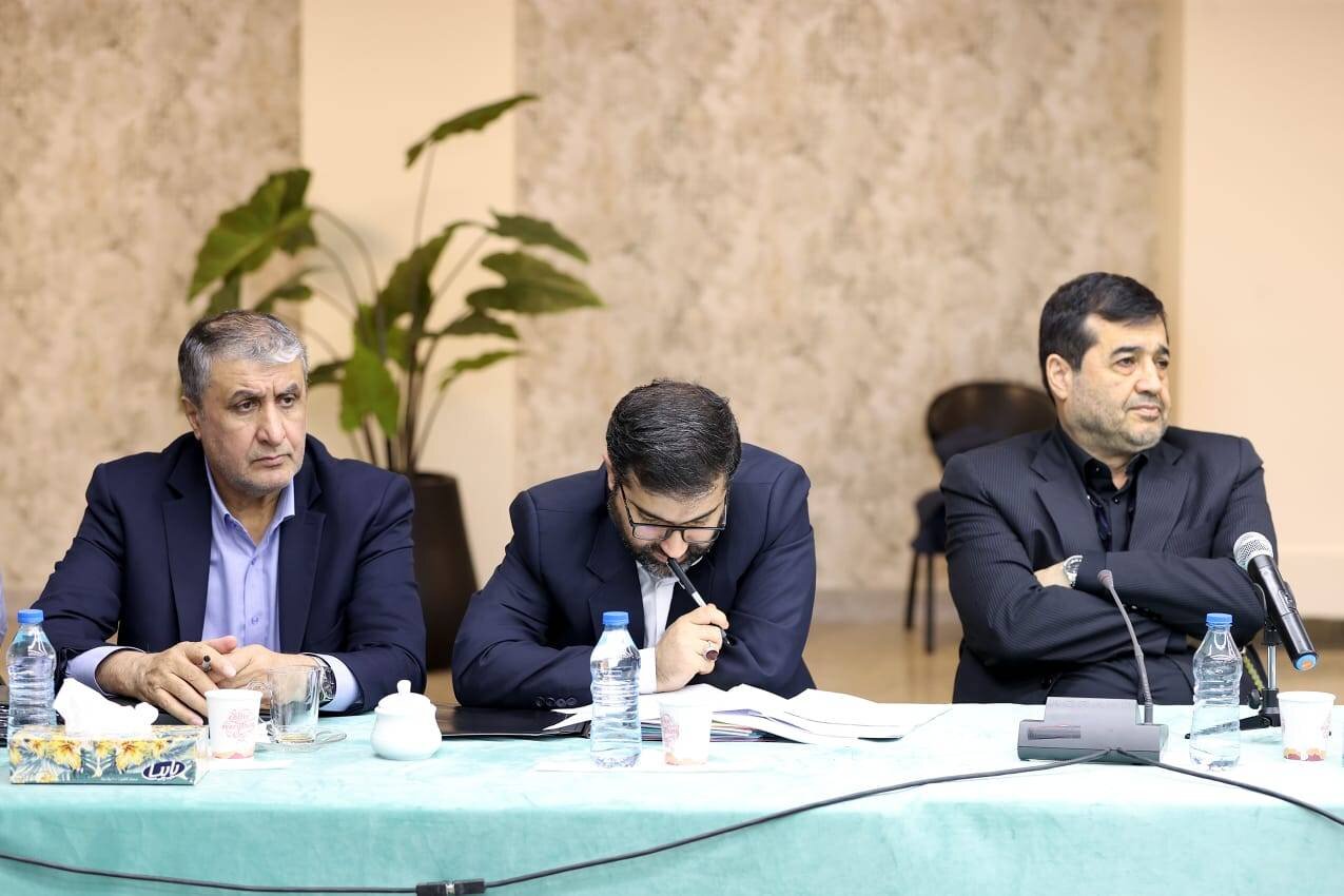 تصاویری از جلسه هیات دولت به ریاست عارف/ از حضور زنان کابینه تا نت برداری و مطالعه سقاب اصفهانی/ زاکانی به پیشوار محرم سیاهپوش بود + عکس