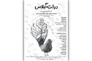 نبرد پرنده‌ها با دارکوب زورگو در تالار هنر