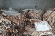 کشف ۳۰ تن گوشت‌ فاسد در اردبیل