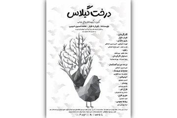 نبرد پرندهها با دارکوب زورگو در تالار هنر نبرد پرندهها با دارکوب زورگو در تالار هنر