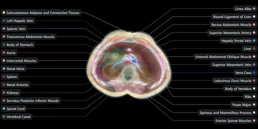 اسکن بدن بدون نیاز به دستگاه MRI / پروژه بلندپروازانه «میدجرنی مدیکال»