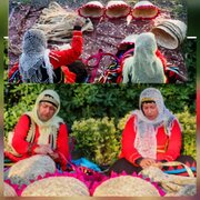 همایش حصیربافی در روستای فشتکه-گیلان