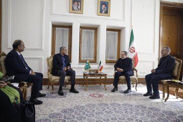 وزیر کشور پاکستان با عراقچی دیدار کرد وزیر کشور پاکستان با عراقچی دیدار کرد