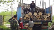 کشف بیش از ۲۶ تن چوب قاچاق به ارزش ۳۰۰ میلیون تومان در لنگرود