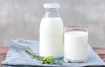 هر روز شیر بخوریم یا نه؟