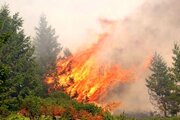 ببینید | آتش‌سوزی در ارتفاعات «کوهمره سرخی» در شیراز