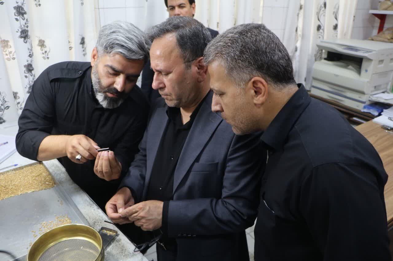 خرید تضمینی ۶۰ هزار تن گندم در لرستان