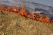 ببینید | شهرک‌نشینان اسرائیل اراضی فلسطینیان در رام‌الله را به آتش کشیدند
