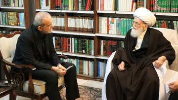 آیت الله نوری همدانی در دیدار با پزشکیان: صداوسیما از بیان سخنان ناامیدکننده پرهیز کند/ فرزندان رئیس جمهوری هم بودند+ تصویر