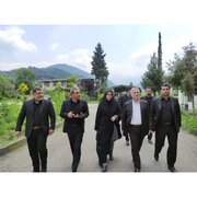 احیای صنایع با فناوری نوین؛ راهبرد توسعه اقتصادی سوادکوه شمالی
