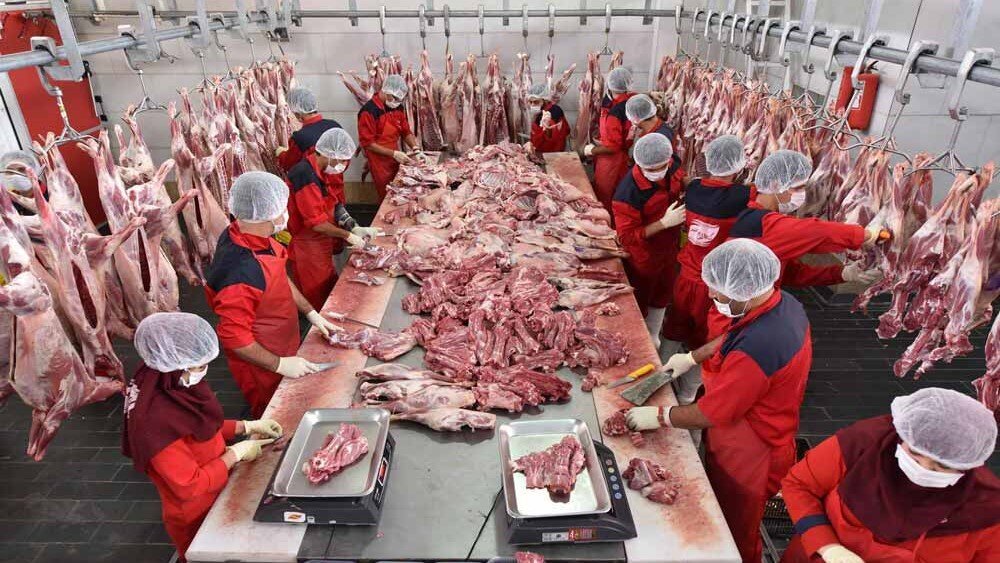 چراغ سبز دولت به بازار گوشت؛ جدیدترین قیمت گوشت گوسفندی / چرا صادرات سویا ممنوع شد؟